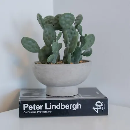 Lovely Aisa | Balcony