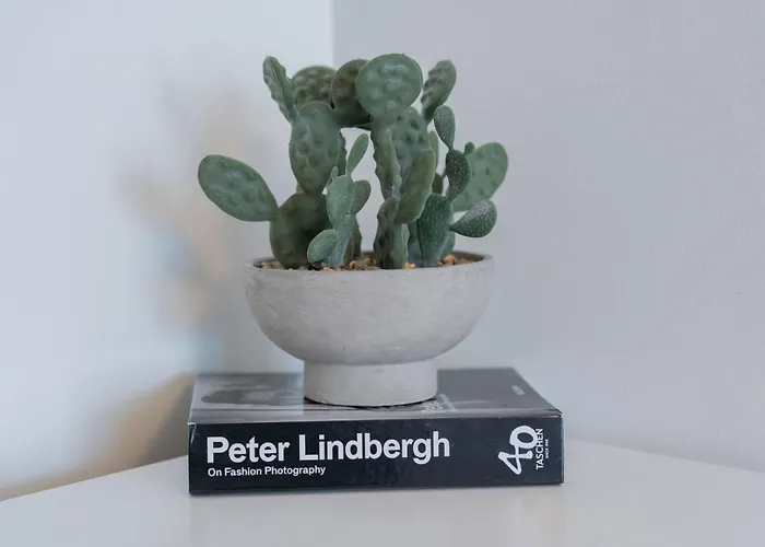 Lovely Aisa | Balcony